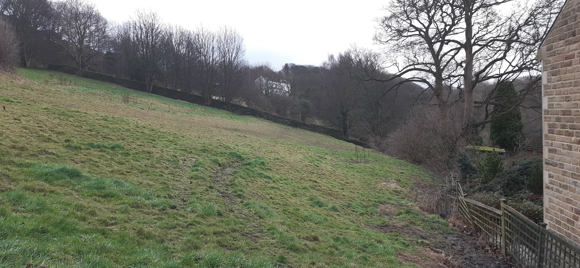 Photo showing steepness of slope in field.